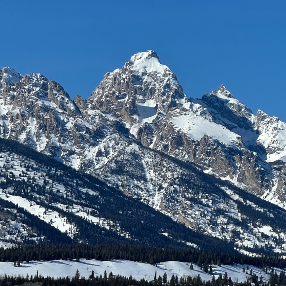 Meet your Posher, Shannon - Picture 3 of 17